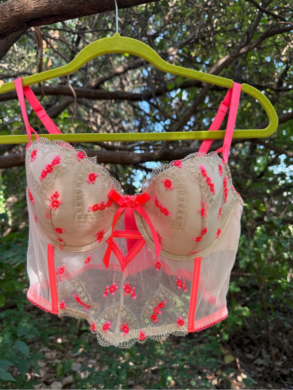 Victoria’s Secret Embroidered Bustier 36D